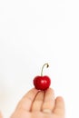 Vibrant single red cherry isolated on a white background Royalty Free Stock Photo