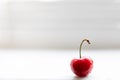 Vibrant single red cherry isolated on a white background Royalty Free Stock Photo