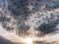 Drone swarm acrobatics with AI coordination