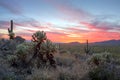 Vibrant Sonoran Desert Sunset Royalty Free Stock Photo