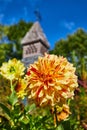 Vibrant Speckled Yellow Dahlia with Historic Spire Background