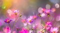 Vibrant spring blooms in ethereal abstract pattern for unique background designs
