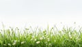 Vibrant spring scene lush green grass, whiteyellow background perfect for easter concept Royalty Free Stock Photo