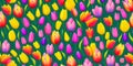 Vibrant spring-themed background featuring a variety of colorful tulips. Panorama