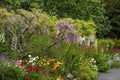 Vibrant springtime display along a garden path