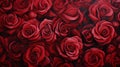 Vibrant Stage Backdrop: Red Rose Painting By Kathleen David
