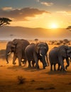 A vibrant stampede of elephants, their tusks gleaming in the light of a setting sun, thundering across a grassy plain.