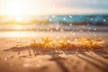 A beautiful starfish on a tranquil sandy beach with crystal clear ocean water Royalty Free Stock Photo