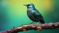 Vibrant Starling Perched On Log: Captivating Nature Photography