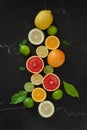 Vibrant and juicy close-up shot of citrus fruit slices, including grapefruit, oranges, and lemons Royalty Free Stock Photo