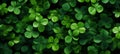 Vibrant stpatricks day wallpaper with captivating green tones for festive celebrations