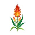 Stylized Flame Flower Illustration with Vibrant Orange and Green Isolated on White Background Royalty Free Stock Photo