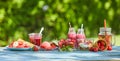 Vibrant summer berry smoothie bowls and juices