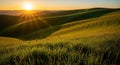 Rolling Green Hills Landscape at Golden Sunset with Dramatic Sun Flare Beautiful Summer Scenery Nature Background and Agricultural Royalty Free Stock Photo