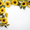 Vibrant sunflower border