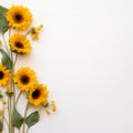 Vibrant sunflower border Royalty Free Stock Photo