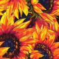 Vibrant Sunflower Digital Artwork: A Symphony of Warm Colors Royalty Free Stock Photo