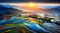 Vibrant Sunrise Over Colorful Rice Fields In China Royalty Free Stock Photo