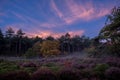 Vibrant sunrise paints the sky over a picturesque, secluded forest.