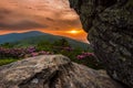 Vibrant Sunset Behind Jane Bald Rhododendron