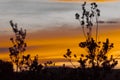 Vibrant sunset caused by bushfire smoke in the blue mountains in Australia