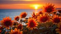 vibrant sunset flowers Royalty Free Stock Photo