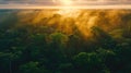 Vibrant Sunset Over Lush Rainforest Canopy Royalty Free Stock Photo