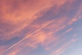 Vibrant Sunset Sky with Diagonal Contrail - High-Quality Stock Photography Royalty Free Stock Photo