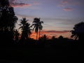 Vibrant sunset view with palm trees silhouetted against a golden sky Royalty Free Stock Photo