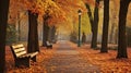 The Vibrant Symphony of Fall Colors Along a Park\'s Alleyway