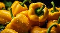 Vibrant Symphony of Yellow Capsicum: A Captivating Seamless Background Infused with Nature\'s Elegance and Warmth - AI Generative