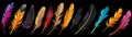 Ultra-Wide Background of a Variety of Colorful Clipart Feathers with a Black Background (Generative AI)