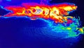 Vibrant Thermal Scan of a Shoreline Royalty Free Stock Photo