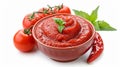 Vibrant Tomato Paste Delight: A Captivating Bowl of Freshness