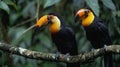 Vibrant toucans resting gracefully on branches adorned with exotic foliage in a lush natural setting