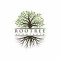 Vibrant tree logo design, tree and root vector. Tree of life logo design