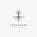 Vibrant tree logo design, tree and root vector. Tree of life logo design inspiration Royalty Free Stock Photo