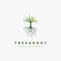 Vibrant tree logo design, tree and root vector. Tree of life logo design inspiration Royalty Free Stock Photo