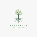 Vibrant tree logo design, tree and root vector. Tree of life logo design inspiration Royalty Free Stock Photo