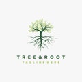 Vibrant tree logo design, tree and root vector. Tree of life logo design inspiration