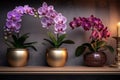 Vibrant Trio: A Stunning Display of Three Orchids in Dazzling Colors!