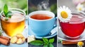 A vibrant triptych of three different herbal teas mint and ginger in a glass cup, steaming tea in a blue ceramic cup Royalty Free Stock Photo