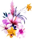 Tropical colourful floral arrangement Royalty Free Stock Photo