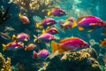 Vibrant Tropical Fish Swimming Amongst Sunlit Coral Reefs in Crystal Clear Ocean Waters Underwater Marine Life Royalty Free Stock Photo