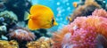 Vibrant tropical fish swimming among colorful corals in a mesmerizing saltwater aquarium ecosystem Royalty Free Stock Photo