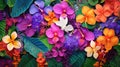 vibrant tropical flower background