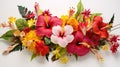 vibrant tropical flowers white background
