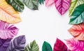 Vibrant tropical leaves in shades of pink and green creating a striking design for summer visuals Royalty Free Stock Photo