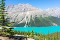 Vibrant turquoise colored glacier fed lake in the Canadian Rockies Royalty Free Stock Photo