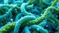 Vibrant Underwater Coral Structures with Intricate Details and Colors